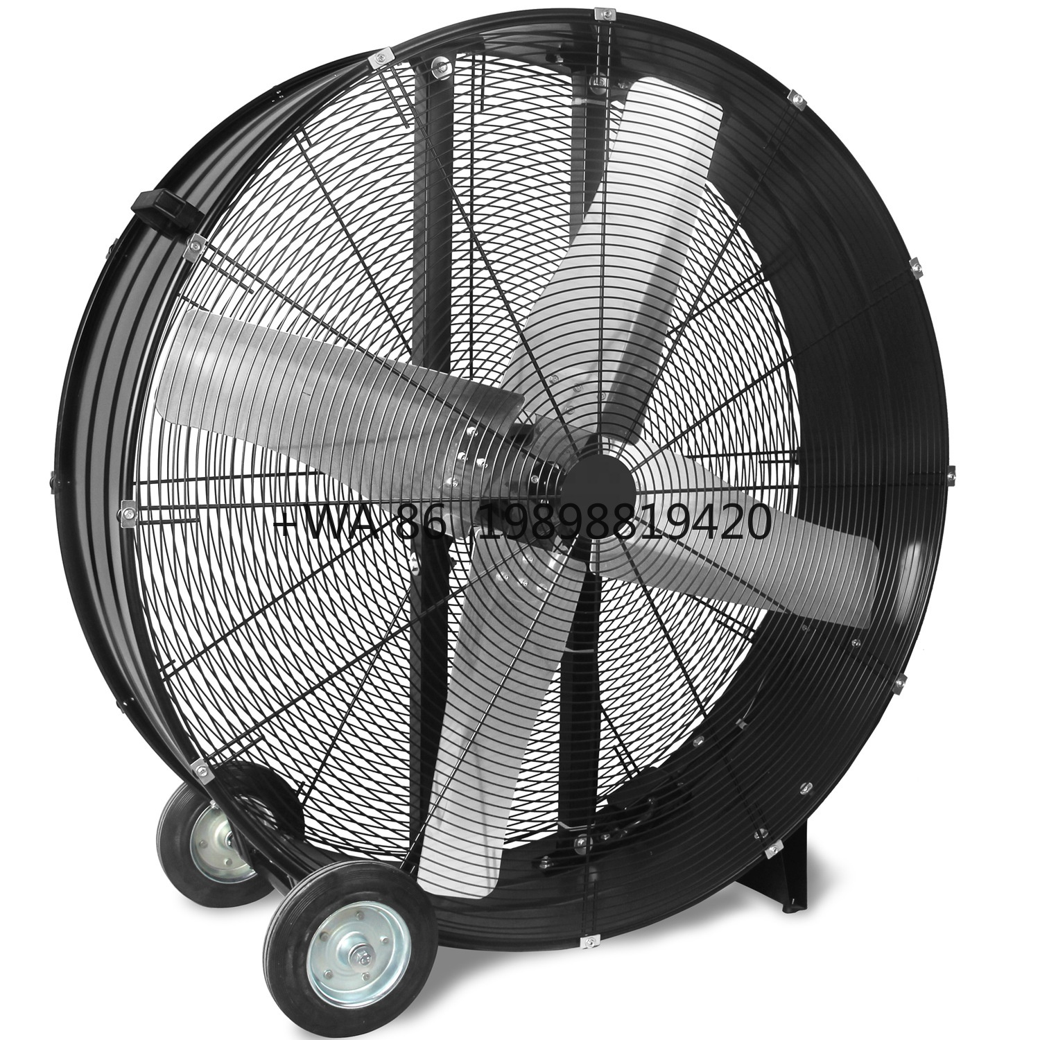 Img